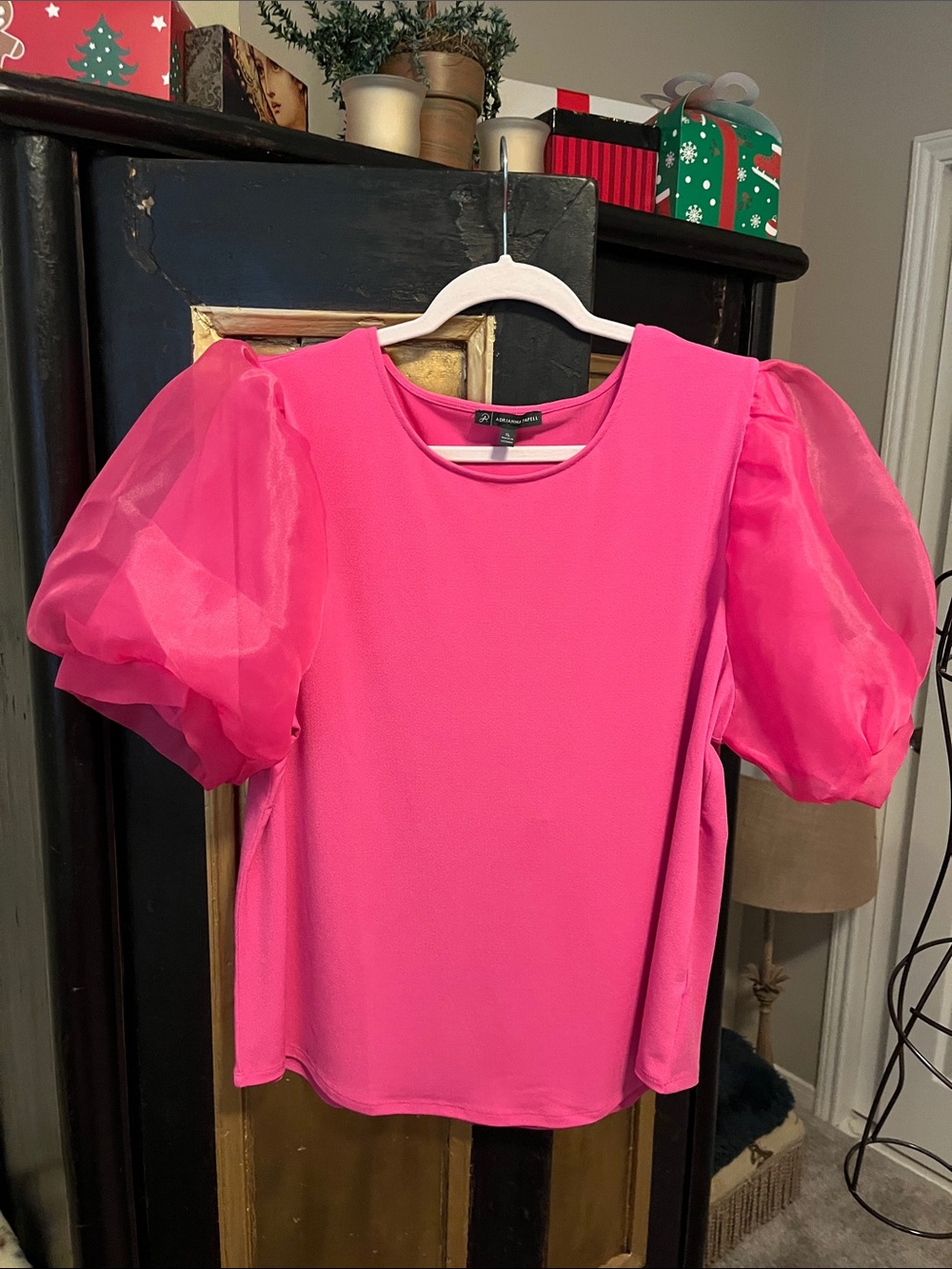 Adrianna Papell Vibrant Pink Top w shimmery sleeves